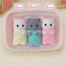 Persian Cat Triplets, , small image number 1