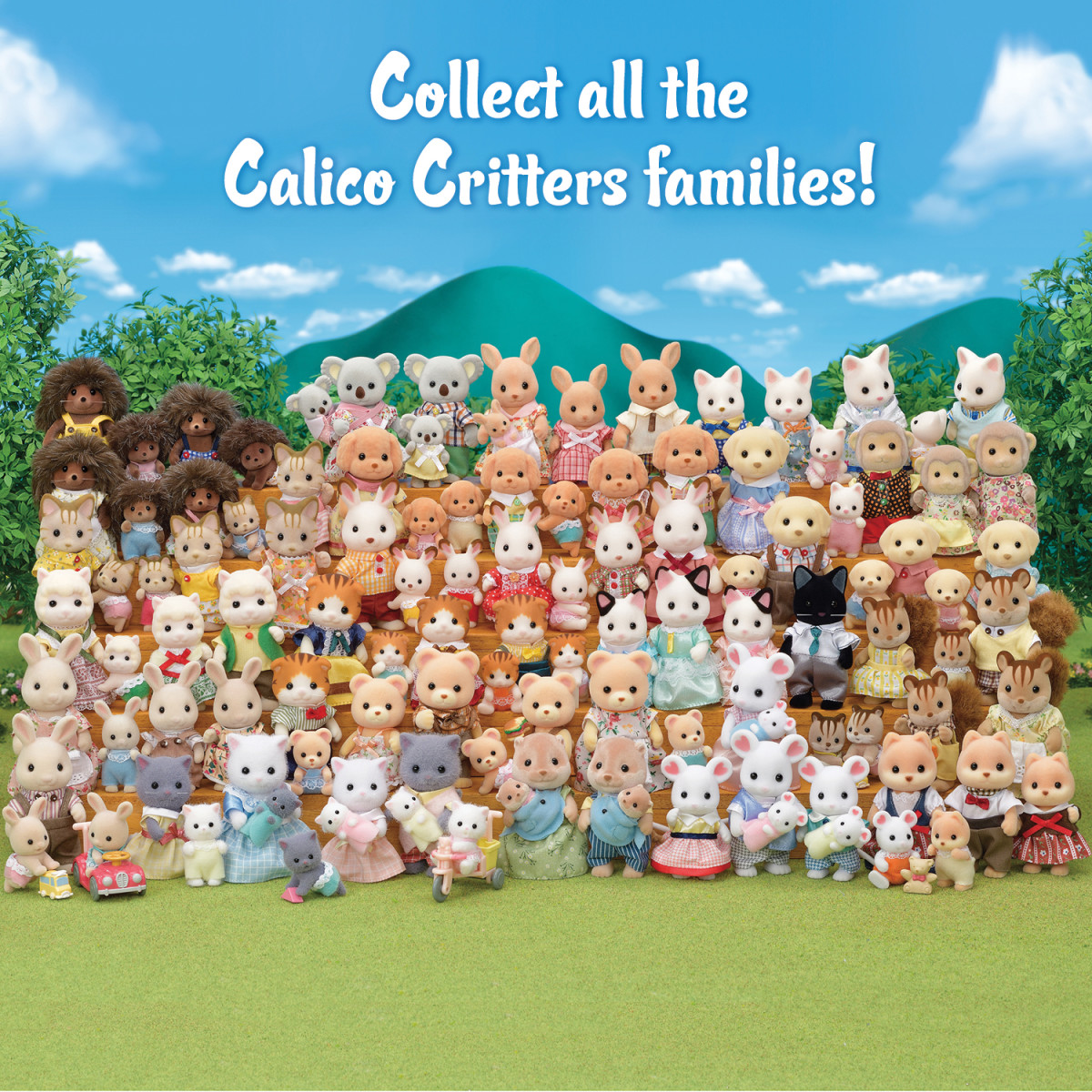 Outback top koala family