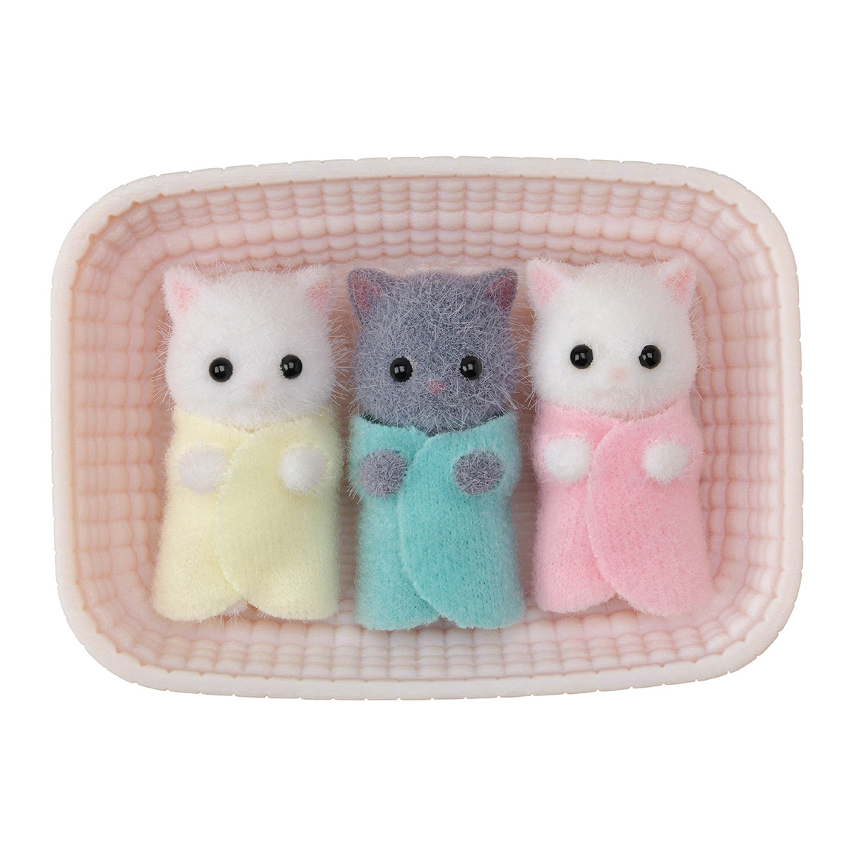 Persian Cat Triplets, , large image 0