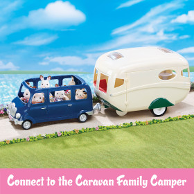 Family Seven Seater, , small image number 4